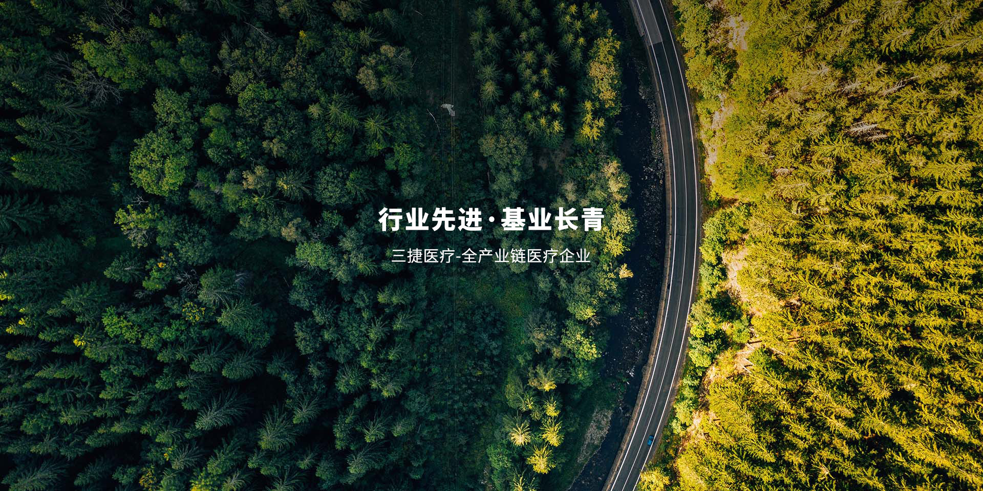 九龍醫(yī)療