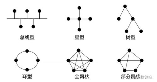 網(wǎng)絡(luò)技術(shù)一 計(jì)算機(jī)網(wǎng)絡(luò)概述與計(jì)算機(jī)網(wǎng)絡(luò)技術(shù)開(kāi)發(fā)